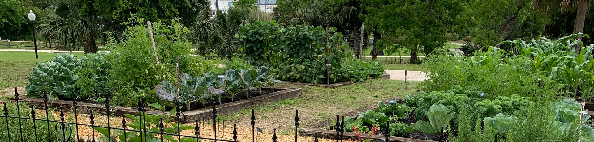 Apalachicola Garden