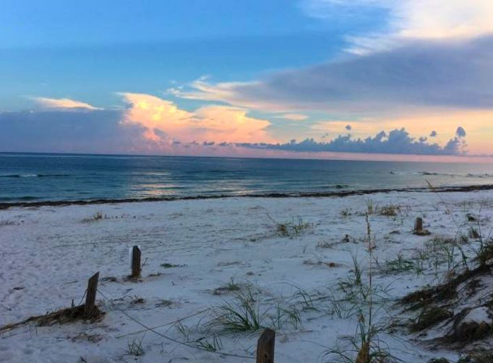 Dr. Julian G. Bruce St. George Island State Park